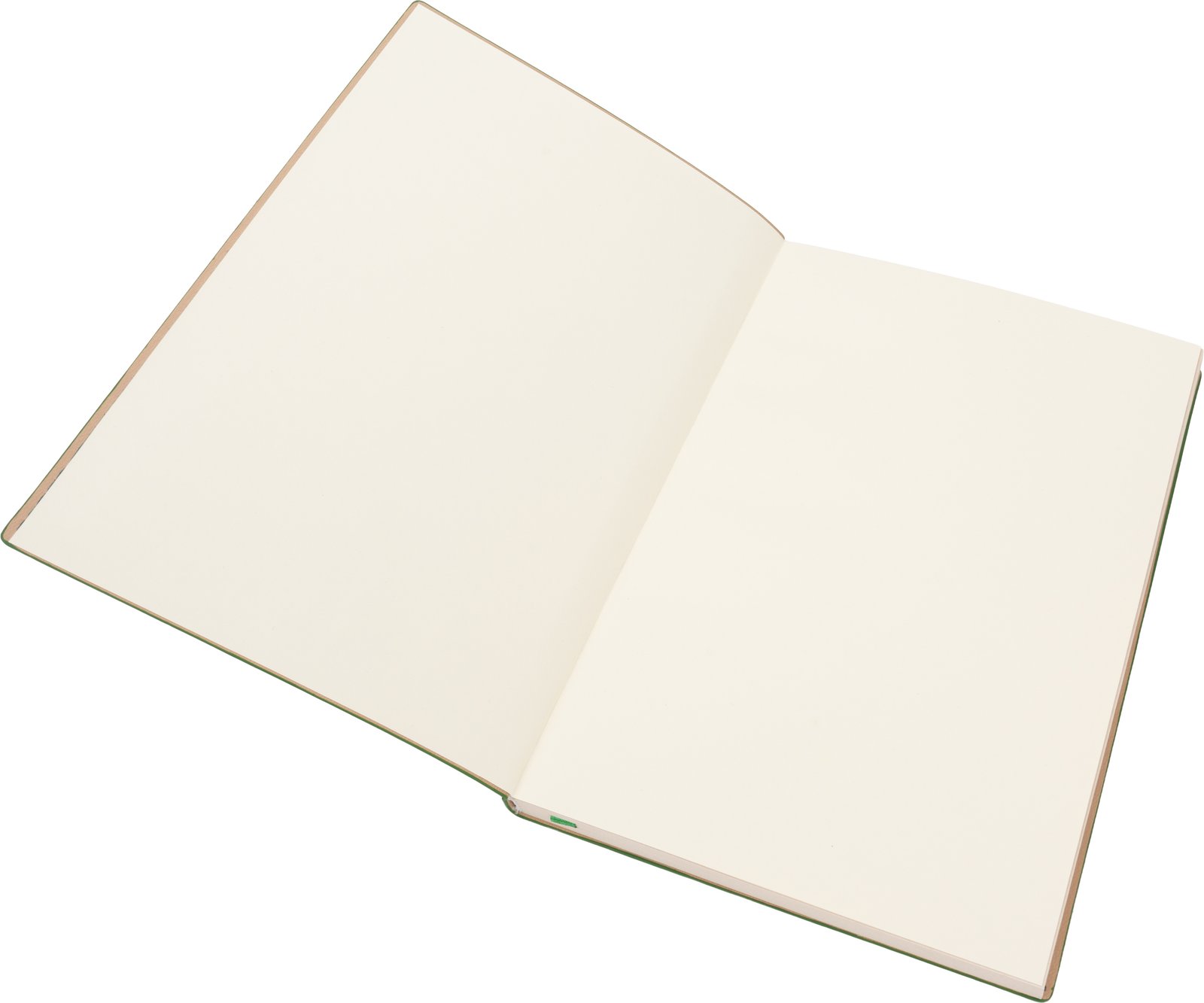 A5 lined notebook made of sugarcane STANLEY green - Image 3