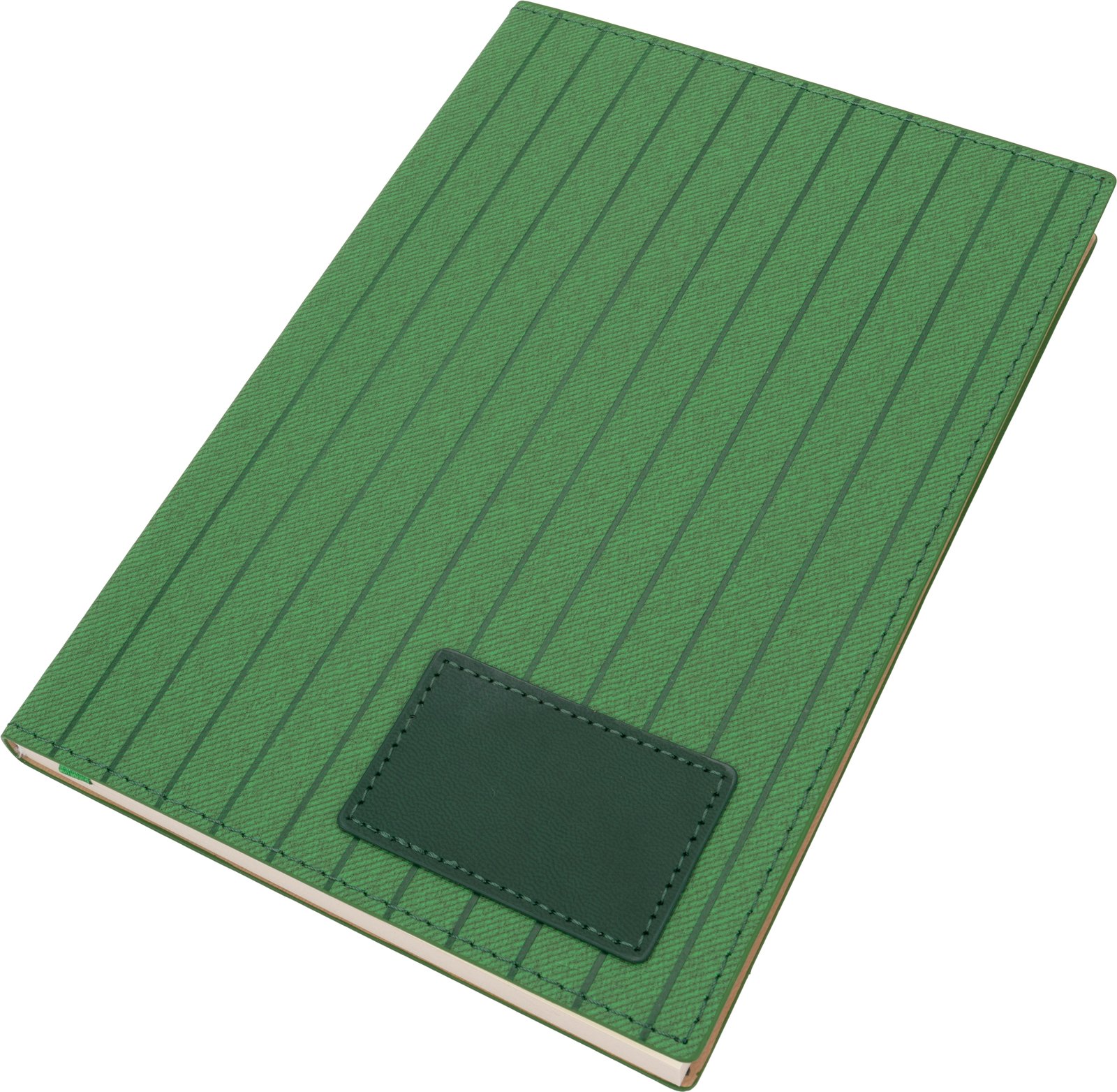 A5 lined notebook made of sugarcane STANLEY green