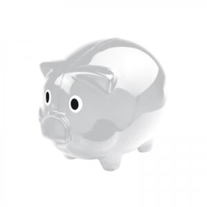 Piggy bank TRUDY transparent