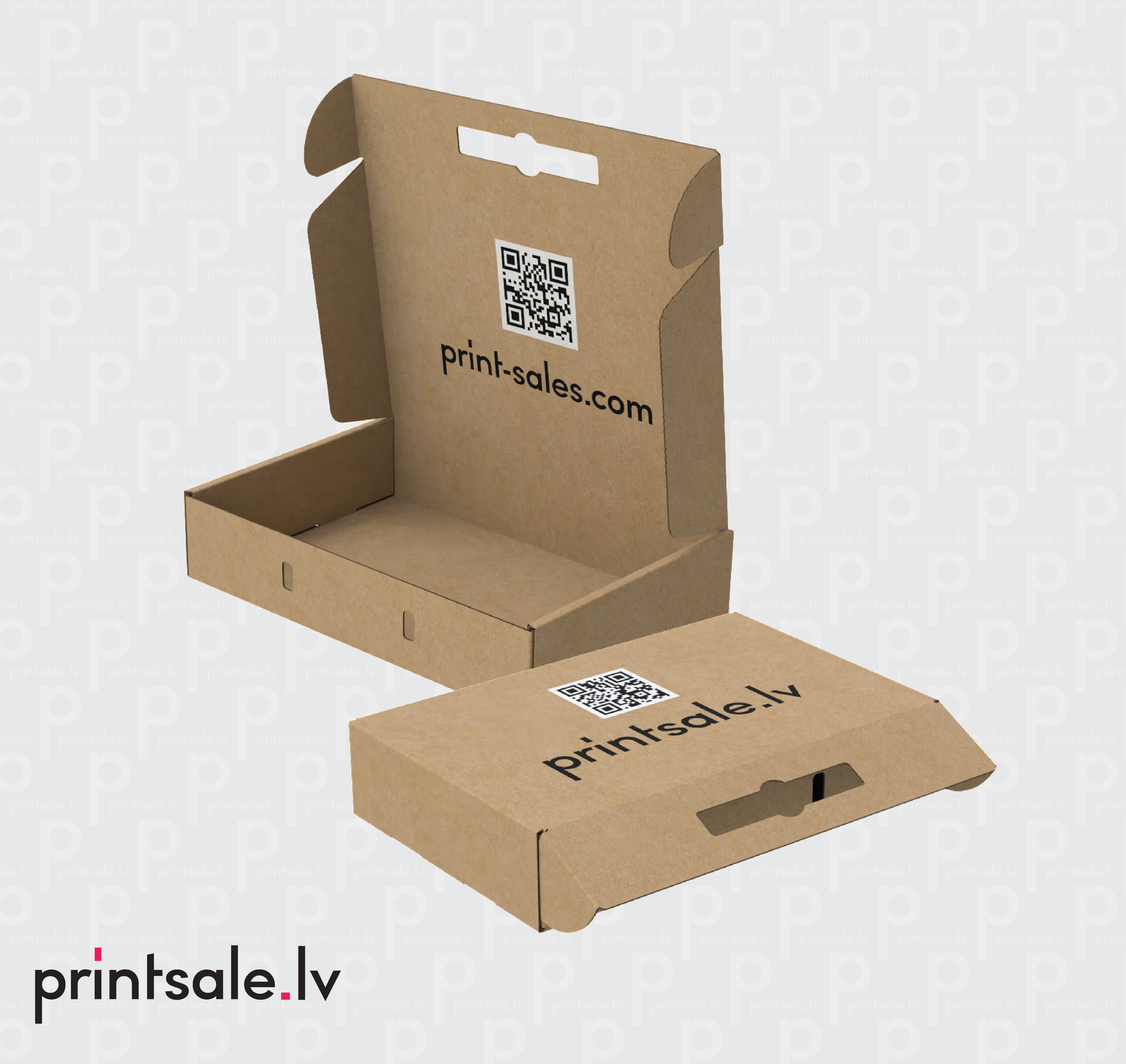 Mailer box carrying cases